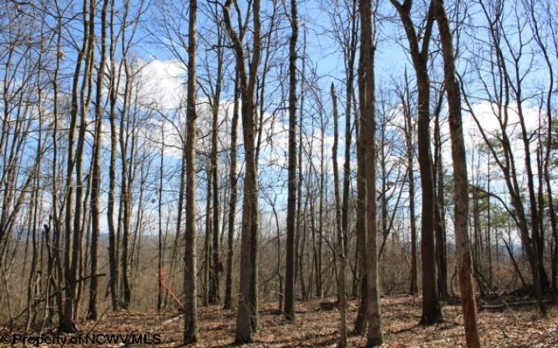 Lot 3 Sand Bank Heights Road, Masontown, West Virginia 26542, ,Lots/land,For Sale,Sand Bank Heights,10153297