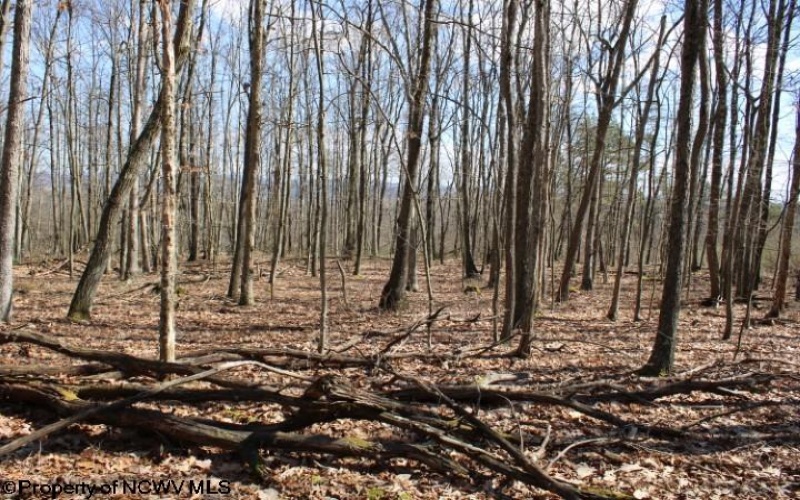 Lot 3 Sand Bank Heights Road, Masontown, West Virginia 26542, ,Lots/land,For Sale,Sand Bank Heights,10153297