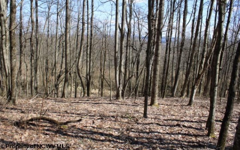 Lot 2 Sand Bank Heights Road, Masontown, West Virginia 26542, ,Lots/land,For Sale,Sand Bank Heights,10153298