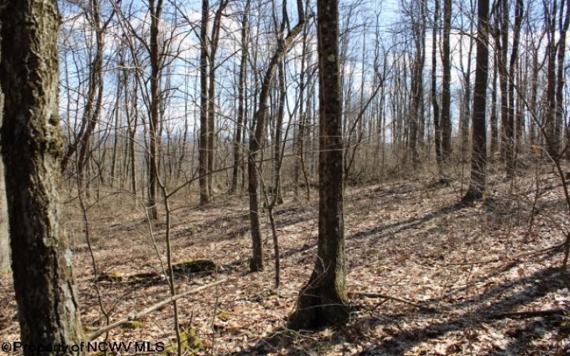 Lot 2 Sand Bank Heights Road, Masontown, West Virginia 26542, ,Lots/land,For Sale,Sand Bank Heights,10153298