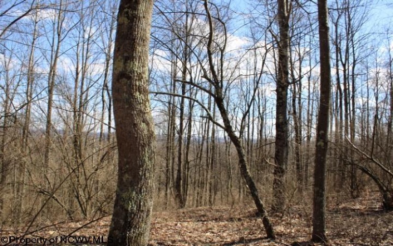 Lot 2 Sand Bank Heights Road, Masontown, West Virginia 26542, ,Lots/land,For Sale,Sand Bank Heights,10153298