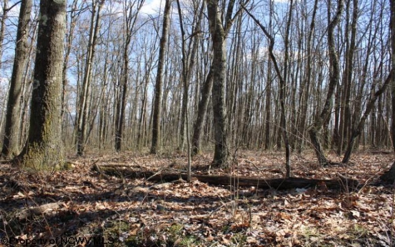 Lot 2 Sand Bank Heights Road, Masontown, West Virginia 26542, ,Lots/land,For Sale,Sand Bank Heights,10153298