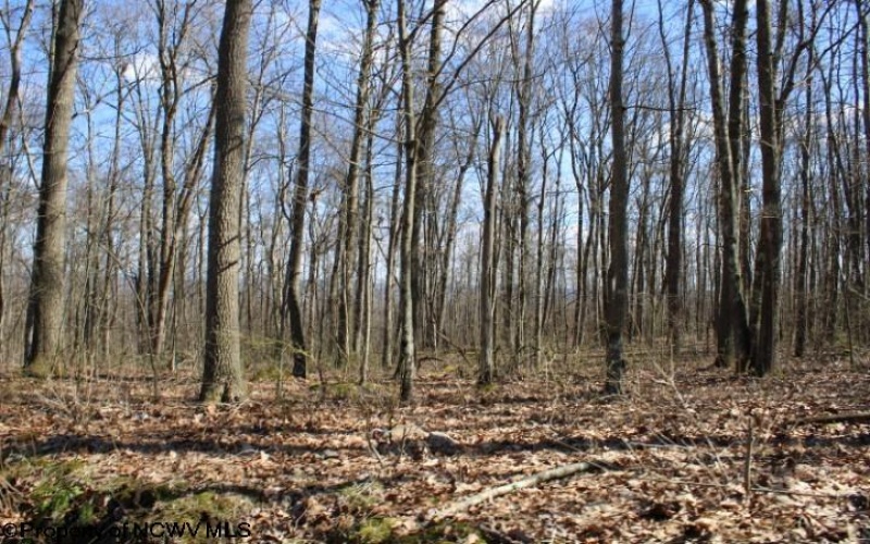 Lot 2 Sand Bank Heights Road, Masontown, West Virginia 26542, ,Lots/land,For Sale,Sand Bank Heights,10153298