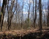 Lot 2 Sand Bank Heights Road, Masontown, West Virginia 26542, ,Lots/land,For Sale,Sand Bank Heights,10153298