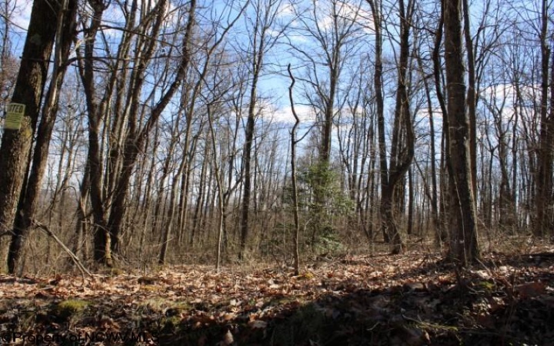 Lot 2 Sand Bank Heights Road, Masontown, West Virginia 26542, ,Lots/land,For Sale,Sand Bank Heights,10153298