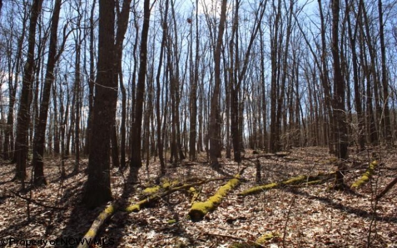 Lot 2 Sand Bank Heights Road, Masontown, West Virginia 26542, ,Lots/land,For Sale,Sand Bank Heights,10153298