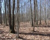 Lot 2 Sand Bank Heights Road, Masontown, West Virginia 26542, ,Lots/land,For Sale,Sand Bank Heights,10153298