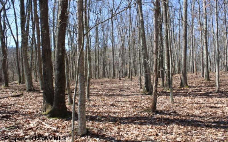 Lot 2 Sand Bank Heights Road, Masontown, West Virginia 26542, ,Lots/land,For Sale,Sand Bank Heights,10153298