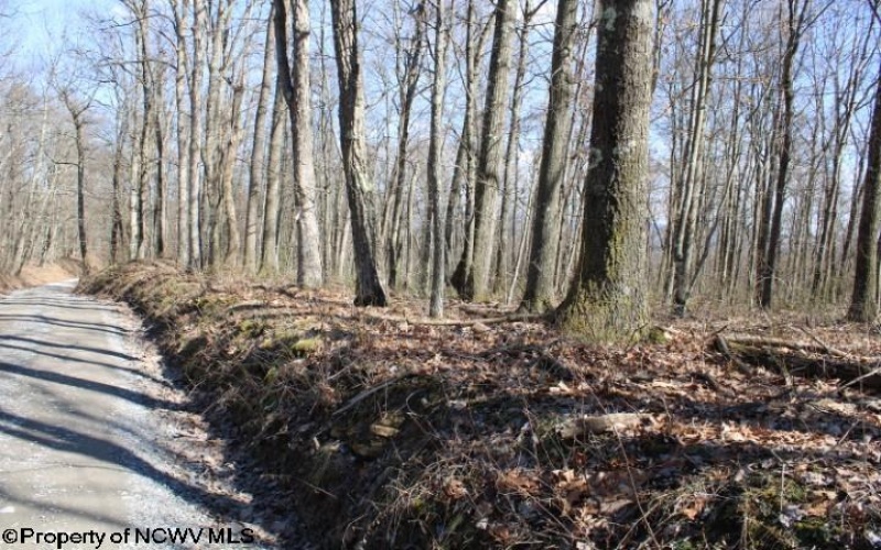 Lot 2 Sand Bank Heights Road, Masontown, West Virginia 26542, ,Lots/land,For Sale,Sand Bank Heights,10153298