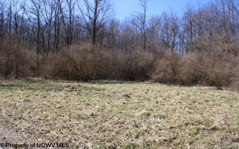 Lot 1 Sand Bank Heights Road, Masontown, West Virginia 26542, ,Lots/land,For Sale,Sand Bank Heights,10153299