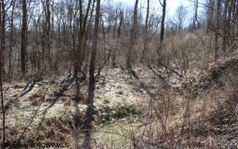 Lot 1 Sand Bank Heights Road, Masontown, West Virginia 26542, ,Lots/land,For Sale,Sand Bank Heights,10153299