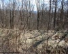 Lot 1 Sand Bank Heights Road, Masontown, West Virginia 26542, ,Lots/land,For Sale,Sand Bank Heights,10153299