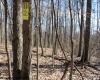 Lot 1 Sand Bank Heights Road, Masontown, West Virginia 26542, ,Lots/land,For Sale,Sand Bank Heights,10153299