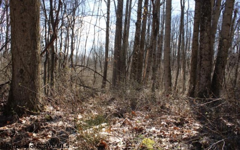 Lot 1 Sand Bank Heights Road, Masontown, West Virginia 26542, ,Lots/land,For Sale,Sand Bank Heights,10153299