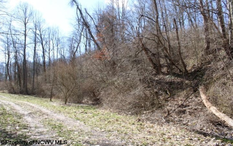 Lot 1 Sand Bank Heights Road, Masontown, West Virginia 26542, ,Lots/land,For Sale,Sand Bank Heights,10153299