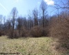 Lot 1 Sand Bank Heights Road, Masontown, West Virginia 26542, ,Lots/land,For Sale,Sand Bank Heights,10153299