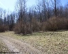 Lot 1 Sand Bank Heights Road, Masontown, West Virginia 26542, ,Lots/land,For Sale,Sand Bank Heights,10153299