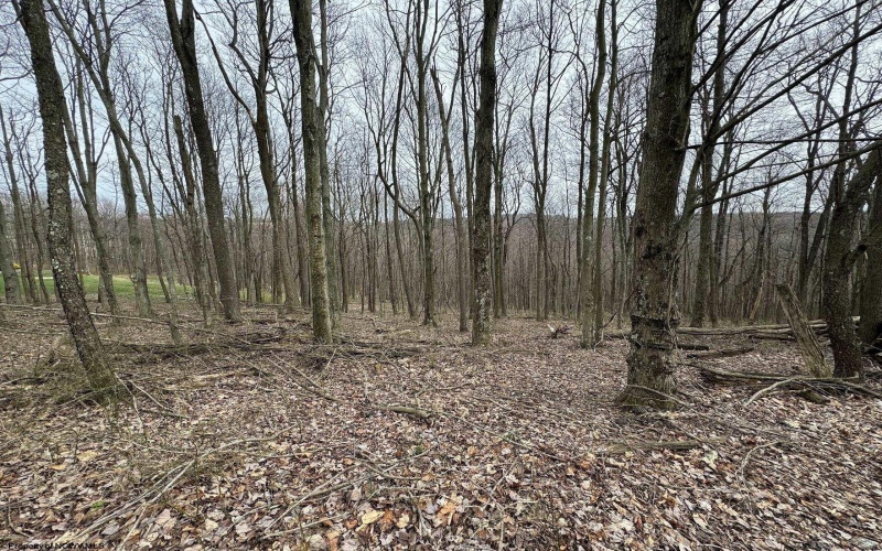 TBD Eastwood Lane, Morgantown, West Virginia 26508, ,Lots/land,For Sale,Eastwood,10153391