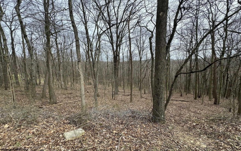 TBD Eastwood Lane, Morgantown, West Virginia 26508, ,Lots/land,For Sale,Eastwood,10153391