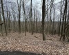 TBD Eastwood Lane, Morgantown, West Virginia 26508, ,Lots/land,For Sale,Eastwood,10153391