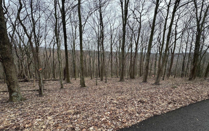 TBD Eastwood Lane, Morgantown, West Virginia 26508, ,Lots/land,For Sale,Eastwood,10153391