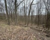 TBD Eastwood Lane, Morgantown, West Virginia 26508, ,Lots/land,For Sale,Eastwood,10153391