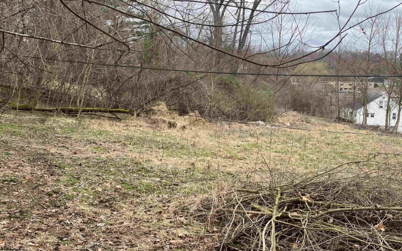 0 Corpening Drive, Bridgeport, West Virginia 26330, ,Lots/land,For Sale,Corpening,10153406