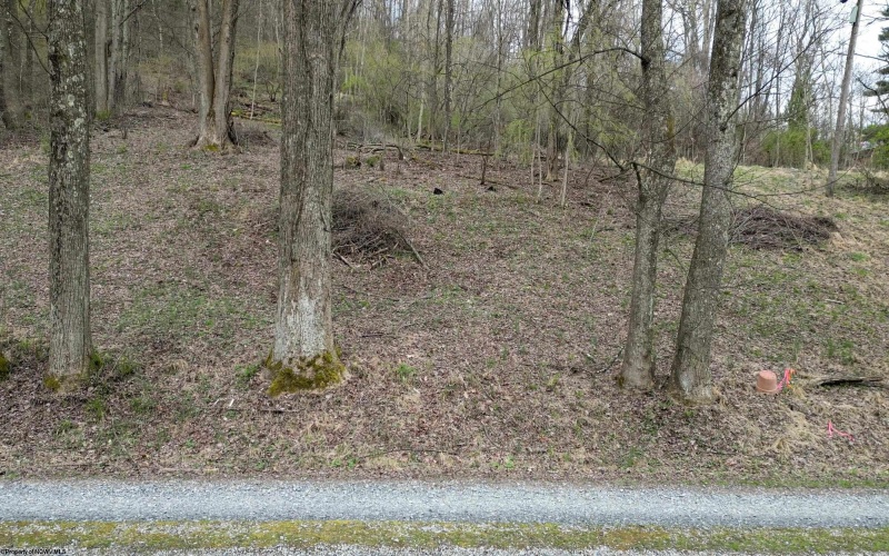 0 Corpening Drive, Bridgeport, West Virginia 26330, ,Lots/land,For Sale,Corpening,10153406