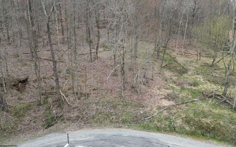 00 Corpening Drive, Bridgeport, West Virginia 26330, ,Lots/land,For Sale,Corpening,10153407