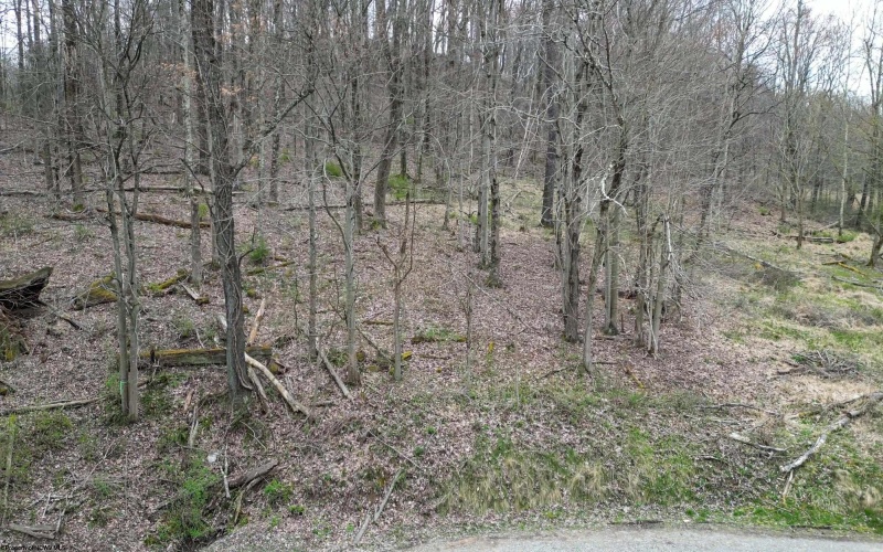 00 Corpening Drive, Bridgeport, West Virginia 26330, ,Lots/land,For Sale,Corpening,10153407