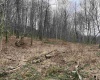 00 Corpening Drive, Bridgeport, West Virginia 26330, ,Lots/land,For Sale,Corpening,10153407