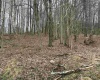 00 Corpening Drive, Bridgeport, West Virginia 26330, ,Lots/land,For Sale,Corpening,10153407