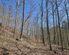 181 Cicerone Road, Charleston, West Virginia 25320, ,Lots/land,For Sale,Cicerone,10153441