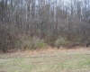 Parcel B Union Road, Philippi, West Virginia 26416, ,Lots/land,For Sale,Union,10153473