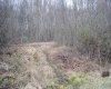 Parcel B Union Road, Philippi, West Virginia 26416, ,Lots/land,For Sale,Union,10153473