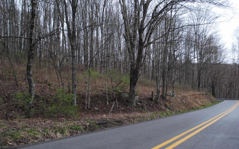 Parcel B Union Road, Philippi, West Virginia 26416, ,Lots/land,For Sale,Union,10153473