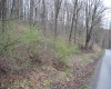 Parcel B Union Road, Philippi, West Virginia 26416, ,Lots/land,For Sale,Union,10153473