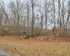 198 Grosbeak Drive, Terra Alta, West Virginia 26764, ,Lots/land,For Sale,Grosbeak,10153477