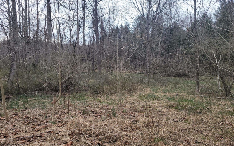 TBD River Trail Road, Morgantown, West Virginia 26508, ,Lots/land,For Sale,River Trail,10153509