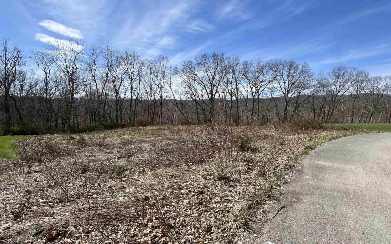 LOT 9 Bosworth Drive, Elkins, West Virginia 26241, ,Lots/land,For Sale,Bosworth,10153520