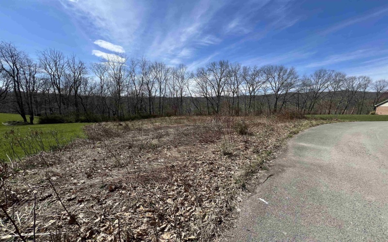 LOT 9 Bosworth Drive, Elkins, West Virginia 26241, ,Lots/land,For Sale,Bosworth,10153520