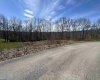 LOT 9 Bosworth Drive, Elkins, West Virginia 26241, ,Lots/land,For Sale,Bosworth,10153520