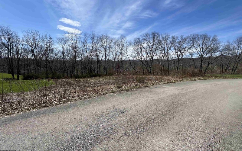 LOT 9 Bosworth Drive, Elkins, West Virginia 26241, ,Lots/land,For Sale,Bosworth,10153520