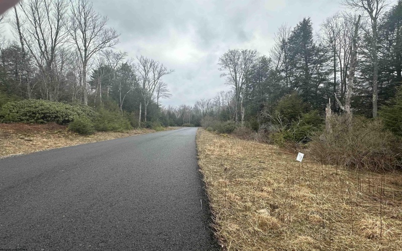 Lot 4 Medici Lane, Davis, West Virginia 26260, ,Lots/land,For Sale,Medici,10153531