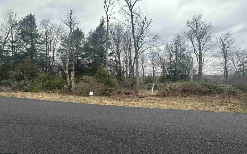 Lot 4 Medici Lane, Davis, West Virginia 26260, ,Lots/land,For Sale,Medici,10153531