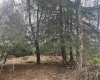 Lot 4 Medici Lane, Davis, West Virginia 26260, ,Lots/land,For Sale,Medici,10153531