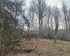 Lot 4 Medici Lane, Davis, West Virginia 26260, ,Lots/land,For Sale,Medici,10153531