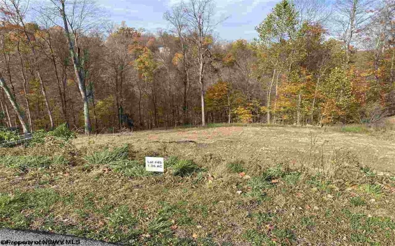 45 FALLING WATER Lane, Morgantown, West Virginia 26508, ,Lots/land,For Sale,FALLING WATER,10153563