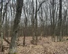 110 & 111 Lakeview Drive, Terra Alta, West Virginia 26764, ,Lots/land,For Sale,Lakeview,10153747