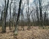 110 & 111 Lakeview Drive, Terra Alta, West Virginia 26764, ,Lots/land,For Sale,Lakeview,10153747